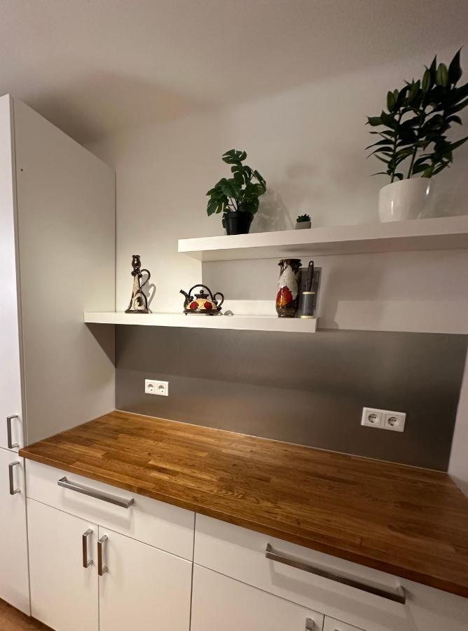 Green Paradise & Cozy Retreat Salzburg With Free Parking المظهر الخارجي الصورة