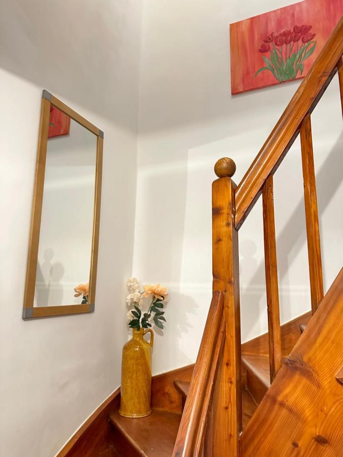 Green Paradise & Cozy Retreat Salzburg With Free Parking المظهر الخارجي الصورة