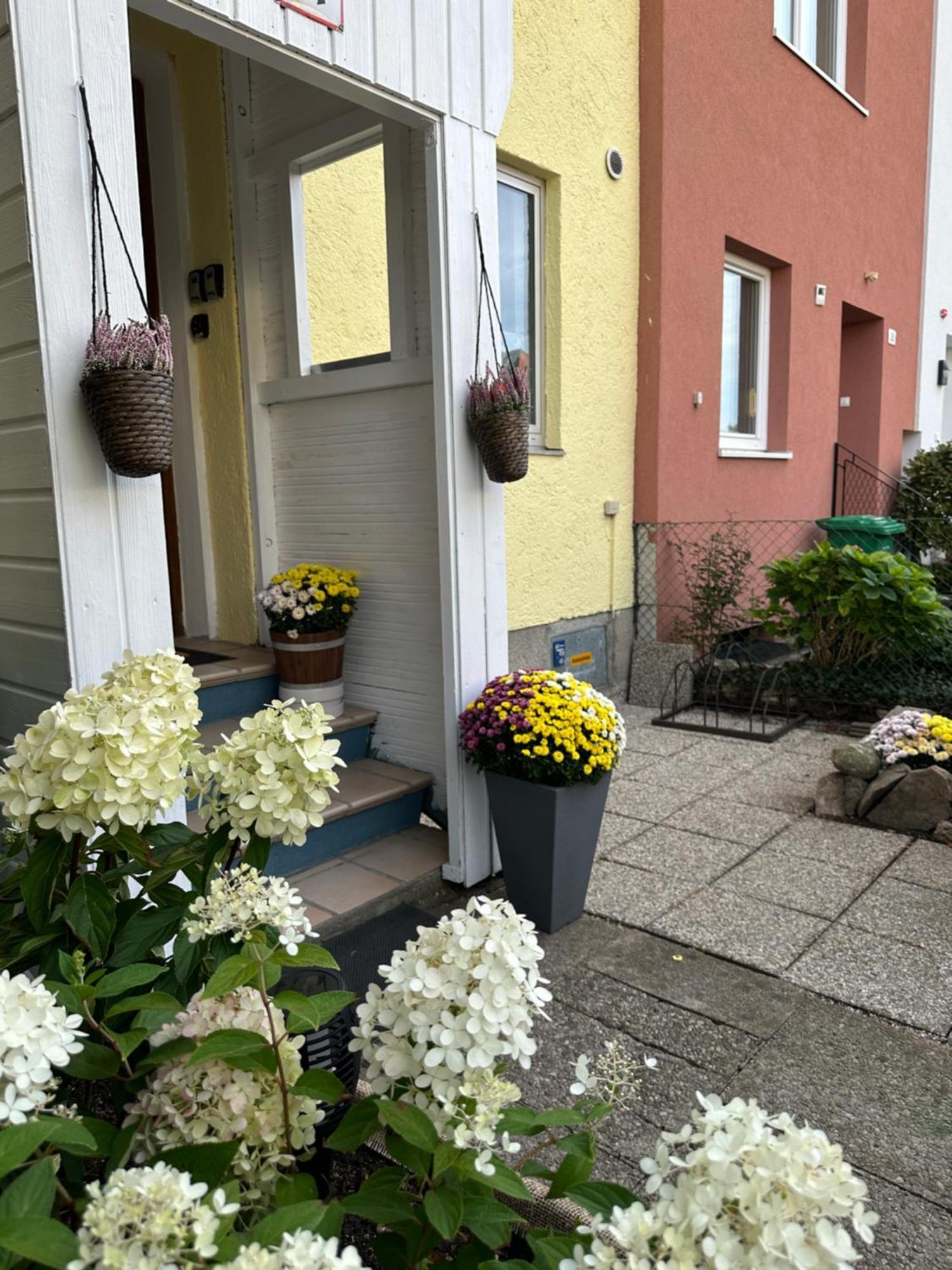 Green Paradise & Cozy Retreat Salzburg With Free Parking المظهر الخارجي الصورة